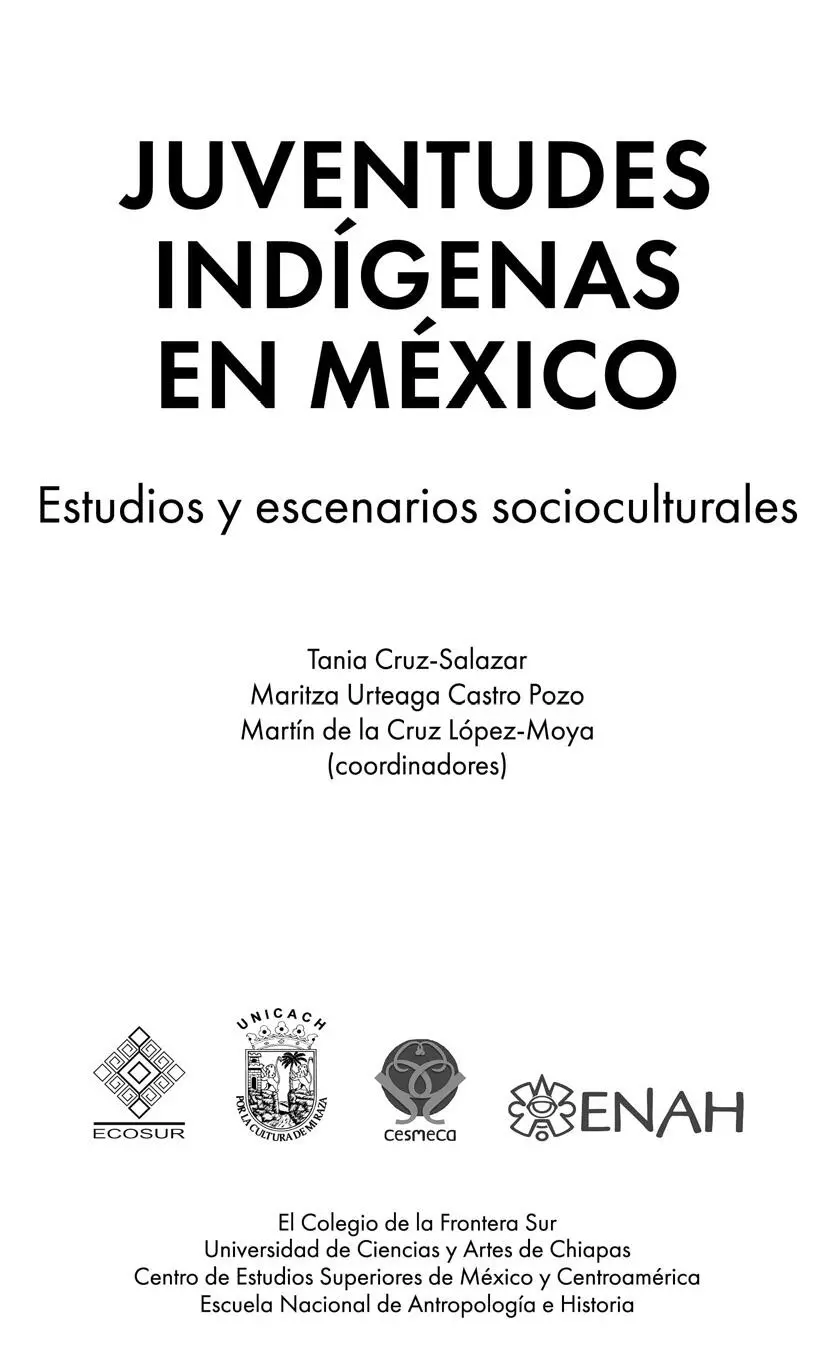 3058 C78 Juventudes indígenas en México Estudios y escenarios - фото 1