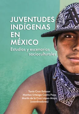 Tania Cruz-Salazar Juventudes indígenas en México обложка книги