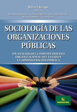 Mario José Krieger Sociología de las organizaciones Públicas обложка книги