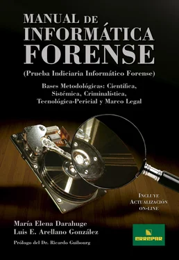 Luis Enrique Arellano González Manual de informática forense обложка книги