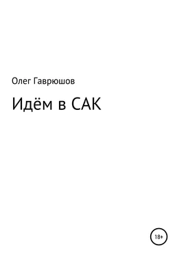 Олег Гаврюшов Идём в САК обложка книги