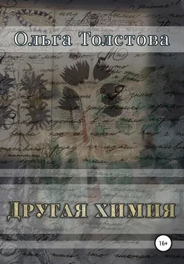 Ольга Толстова Другая химия обложка книги