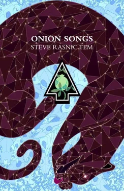 Steve Tem Onion Songs обложка книги