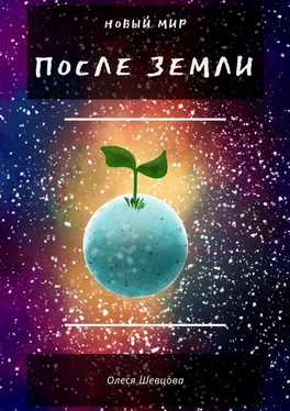 Олеся Шевцова После Земли. Новый мир обложка книги