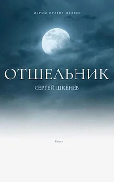 Сергей Шкенёв Отшельник обложка книги