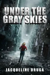 Jacqueline Druga - Under the Gray Skies