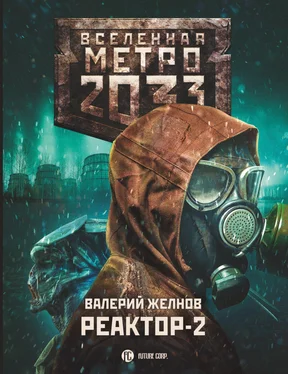 Валерий Желнов Метро 2033. Реактор-2. В круге втором обложка книги