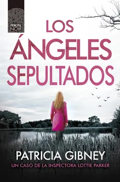 Patricia Gibney Los ángeles sepultados обложка книги