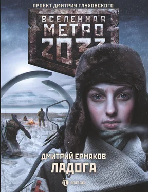 Дмитрий Ермаков Метро 2033. Ладога обложка книги