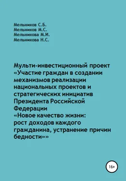 Наталия Мельникова Мульти-инвестиционный проект «Участие граждан в создании механизмов реализации национальных проектов и стратегических инициатив Президента РФ „Новое качество жизни: рост доходов каждого“ обложка книги