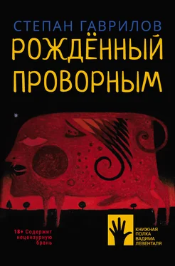 Степан Гаврилов Рождённый проворным обложка книги