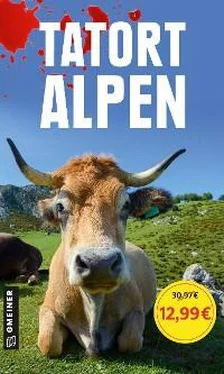 Michael Gerwien Tatort Alpen обложка книги