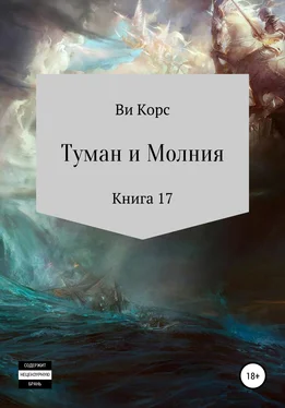 Ви Корс Туман и Молния. Книга 17 обложка книги