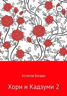 Богдан Астапов Хори и Кадзуми 2 обложка книги