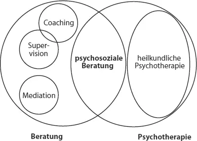 Abb 13 Psychosoziale Beratung und verwandte Begriffe eigene Darstellung - фото 16