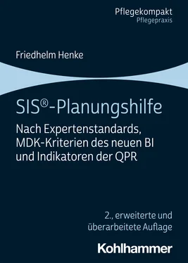 Friedhelm Henke SIS®-Planungshilfe обложка книги