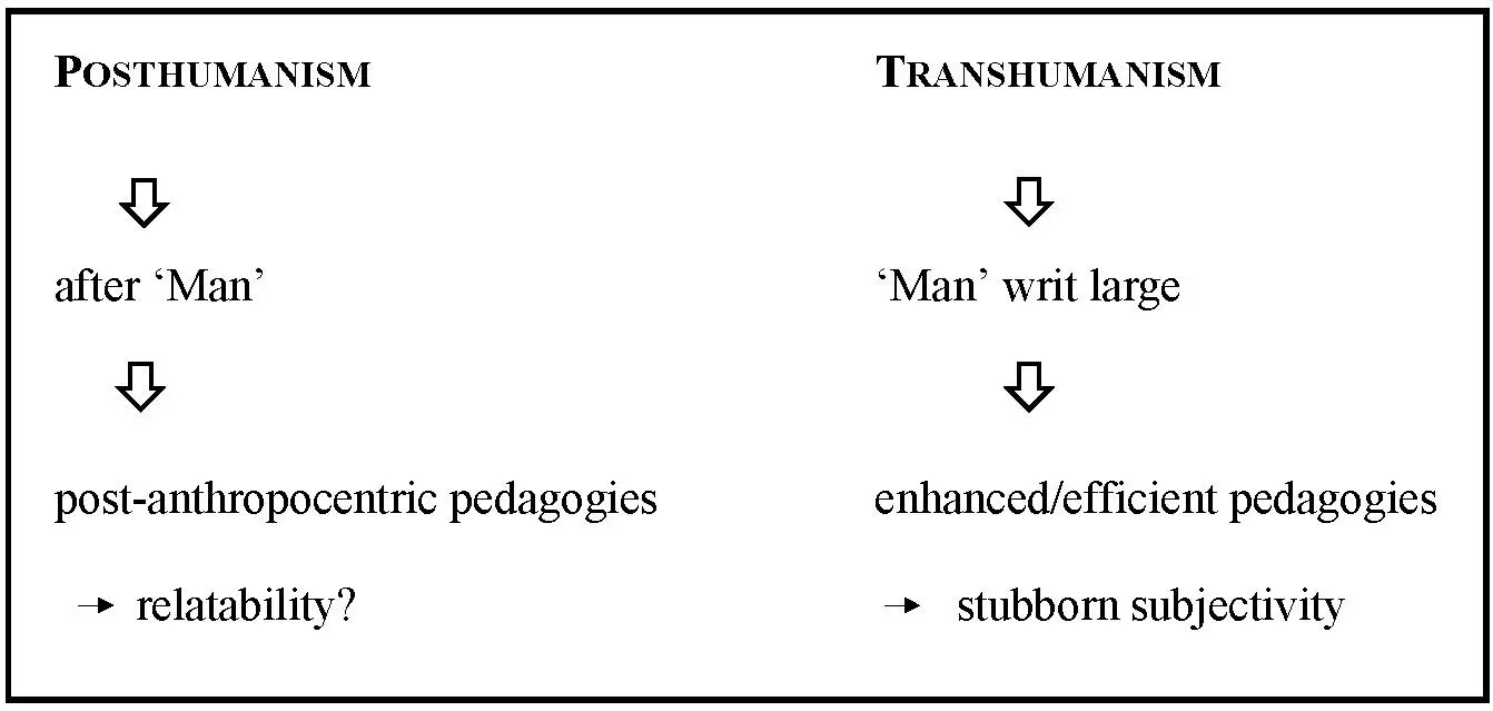 Fig 1 Posthumanist vs Transhumanist Theories and Pedagogies As it turns out - фото 2