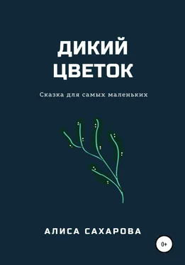 Алиса Сахарова Дикий цветок обложка книги