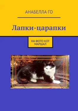 Анабелла Го Лапки-царапки обложка книги