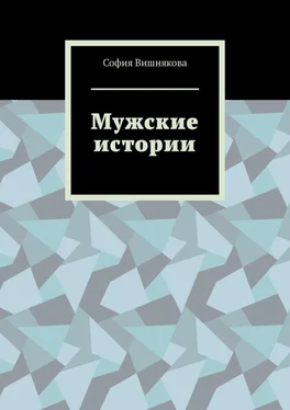 София Вишнякова Мужские истории обложка книги