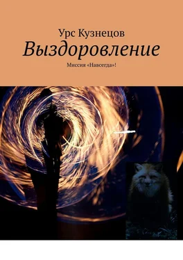 Урс Кузнецов Выздоровление. Миссия «Навсегда»! обложка книги