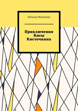 Наталья Федченко Приключения Кисы Кисточкина обложка книги