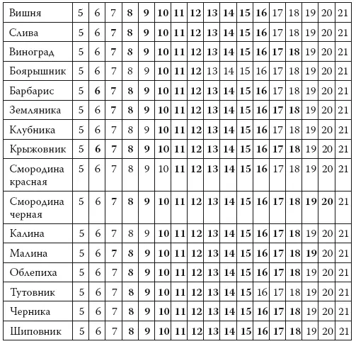 Бахчевые Овощи Зелень Орех - фото 3