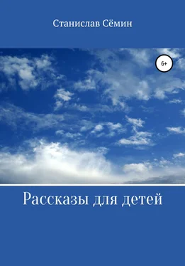 Станислав Сёмин Рассказы для детей обложка книги