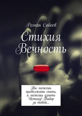 Роман Собоев Стихия Вечность. Ты можешь продолжать спать, а можешь узнать Истину! Выбор за тобой… обложка книги