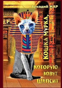 Аркадий Мар Кошка Мурка, которую зовут Шепсит. Три повести и один рассказ обложка книги