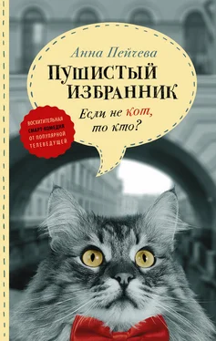 Анна Пейчева Если не кот, то кто? Пушистый избранник обложка книги