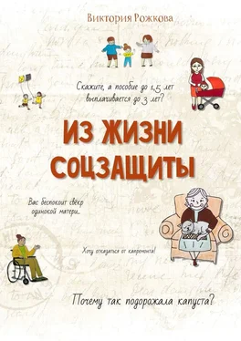 Виктория Рожкова Из жизни соцзащиты. Ни одной выдуманной истории обложка книги