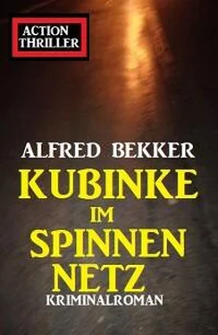 Alfred Bekker Kubinke im Spinnennetz: Kriminalroman обложка книги