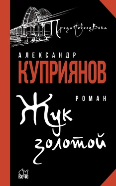 Александр Куприянов Жук золотой обложка книги