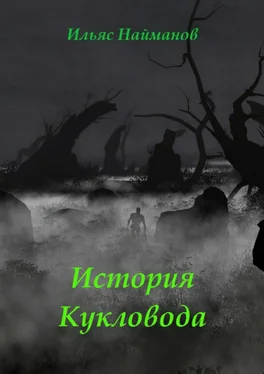 Ильяс Найманов История Кукловода. Фантастический роман обложка книги