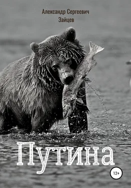 Александр Зайцев Путина обложка книги