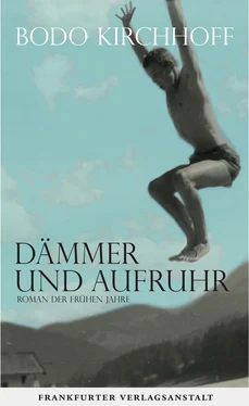 Bodo Kirchhoff Dämmer und Aufruhr обложка книги