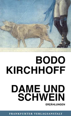 Bodo Kirchhoff Dame und Schwein обложка книги