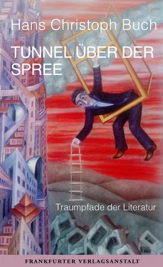 Hans Christoph Buch Tunnel über der Spree обложка книги
