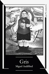 Miguel Audiffred - Gris