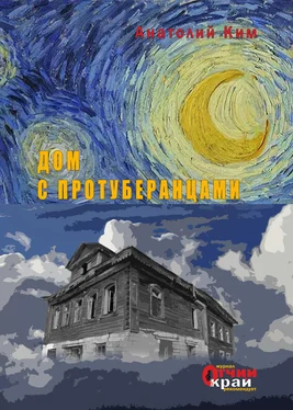Анатолий Ким Дом с протуберанцами обложка книги