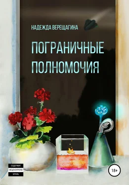 Надежда Верещагина Пограничные полномочия обложка книги