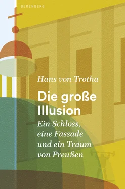 Hans von Trotha Die große Illusion обложка книги