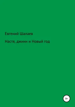 Евгений Шалаев Настя, джинн и Новый год обложка книги