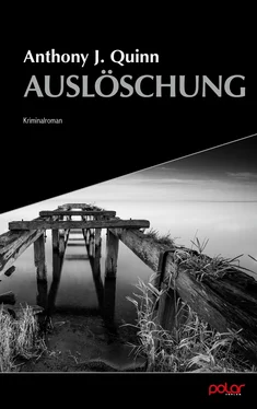 Anthony J. Quinn Auslöschung обложка книги