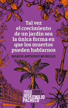 Marco Antonio Murillo Tal vez el crecimiento de un jardín sea la única forma en que los muertos pueden hablarnos обложка книги