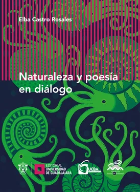 Elba Castro Rosales Naturaleza y poesía en diálogo