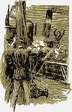 It was well that we had so clear a view of him Even as we looked he plucked - фото 42