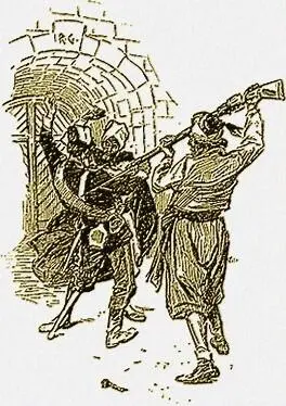 My first thought was that these fellows were in league with the rebels and - фото 46