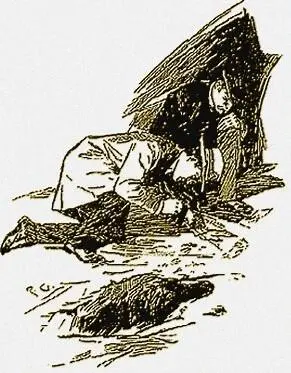 He held down the lamp to the floor and as he did so I saw for the second time - фото 33